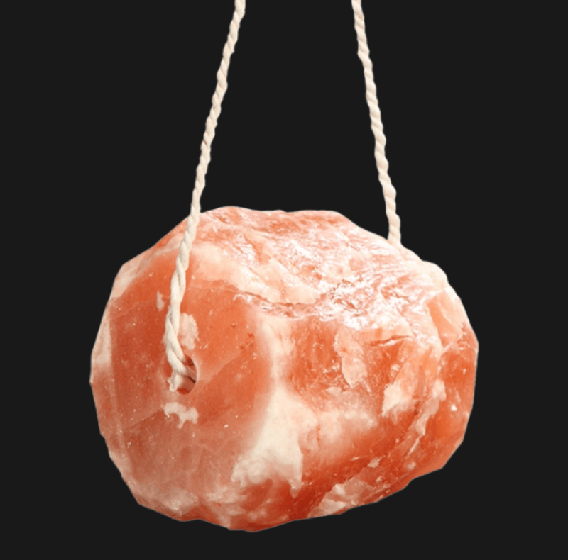 Animal Salt Licks